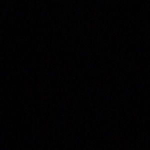 Meet your Posher, Tyreese